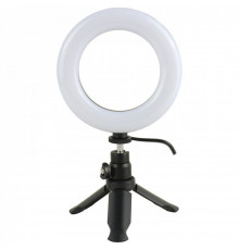 Лампа Кольцевая LED (16 cm) Earldom ET-ZP29