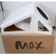 Витяжка для манікюру Max (Супер потужний 65Вт)