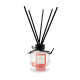 Ароматический диффузор Global Fashion, 100 ml, Red Quart Reed Diffuser