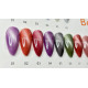 Temperature cat eyes Bee Nails, TR01, 8 ml