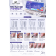 Верхні сендвіч-форми для нарощування нігтів Global Fashion Mix Dual Nail Form 4 в 1, 240 шт