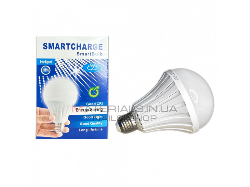 LED Lamp 12 Watt с аккумулятором E27