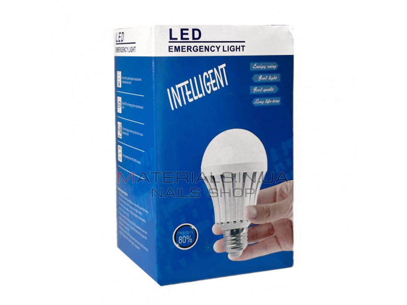 LED Lamp 5 Watt с аккумулятором E27