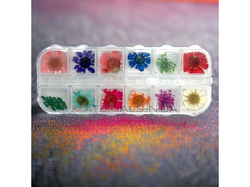 Декор для нігтів сухоцвіти в тарі (12 кольорів)