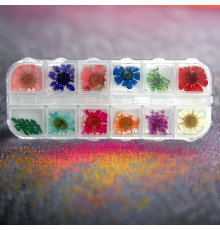Декор для нігтів сухоцвіти в тарі (12 кольорів)